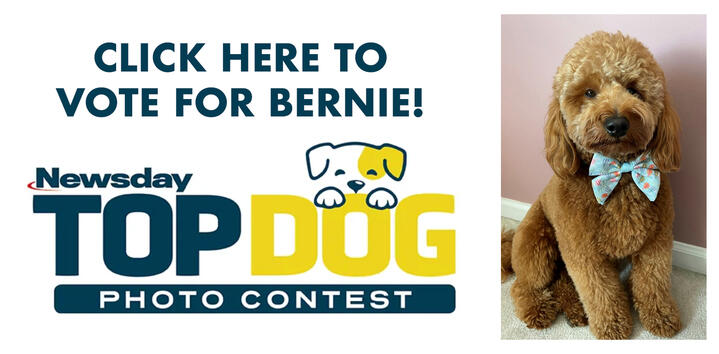 Vote for Bernie in Newsday's Top Dog Photo Contest!